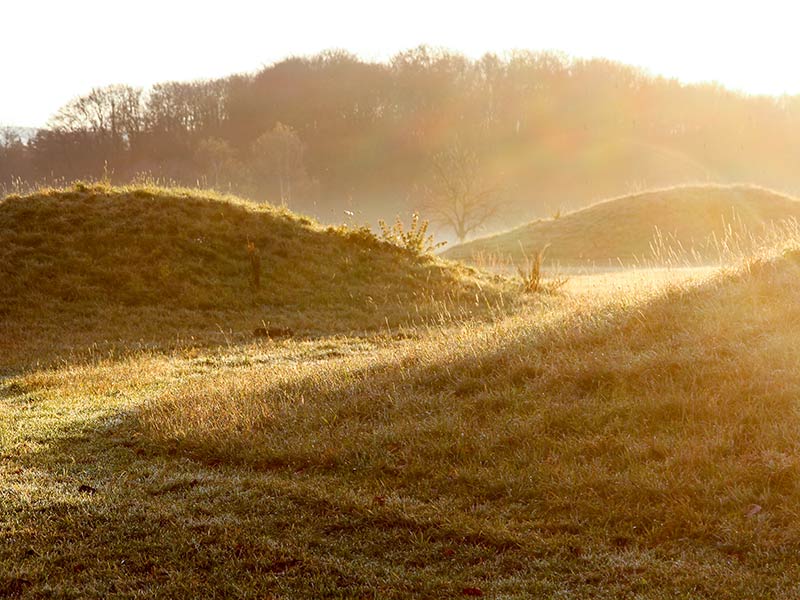 800x600-Perspektive-Heidengraben-IMG_1822